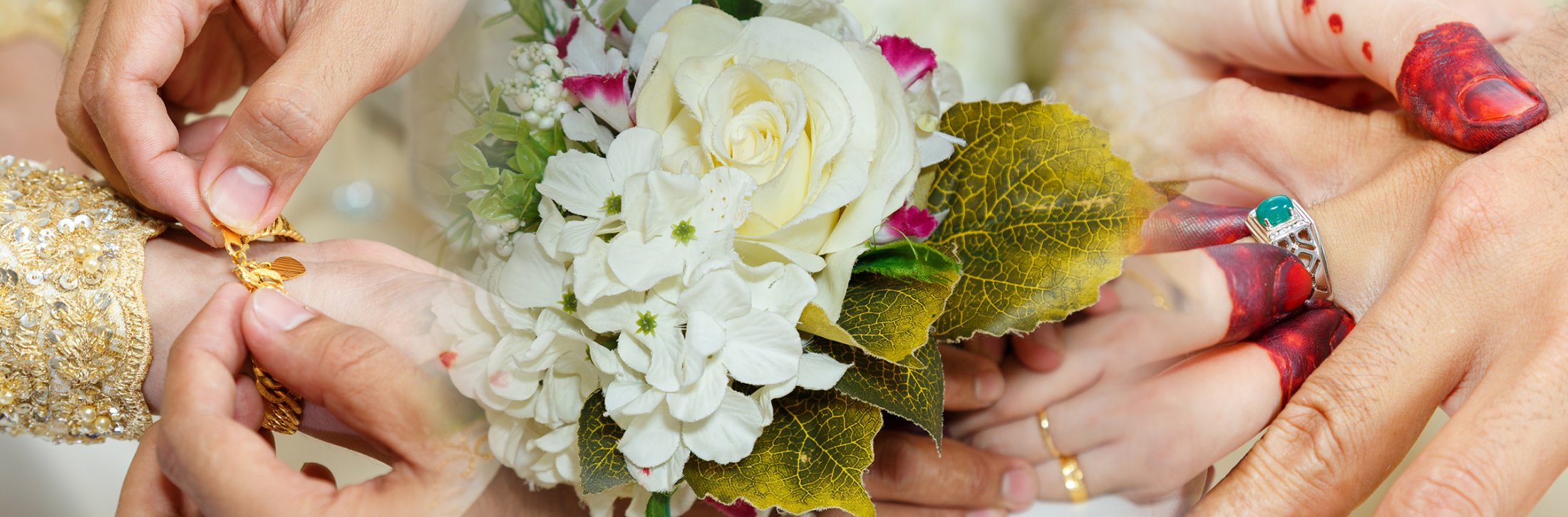 AmiraMain_2400_X_792.jpg