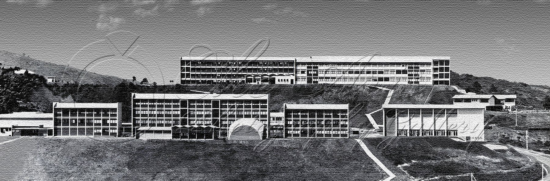 RMC_2400_X_792.jpg